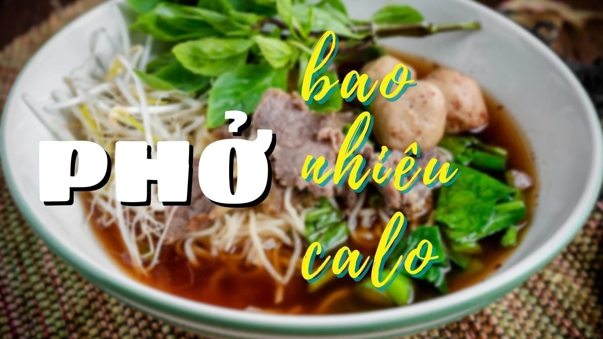   1 Tô Phở Bao Nhiêu Calo? Giải Đáp Chi Tiết Về Năng Lượng Trong Tô Phở