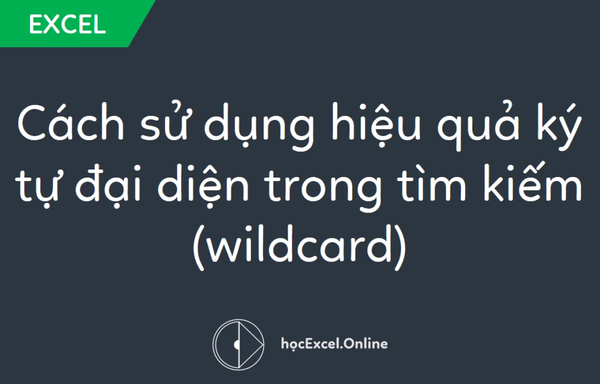 Sử dụng Wildcard trong Excel