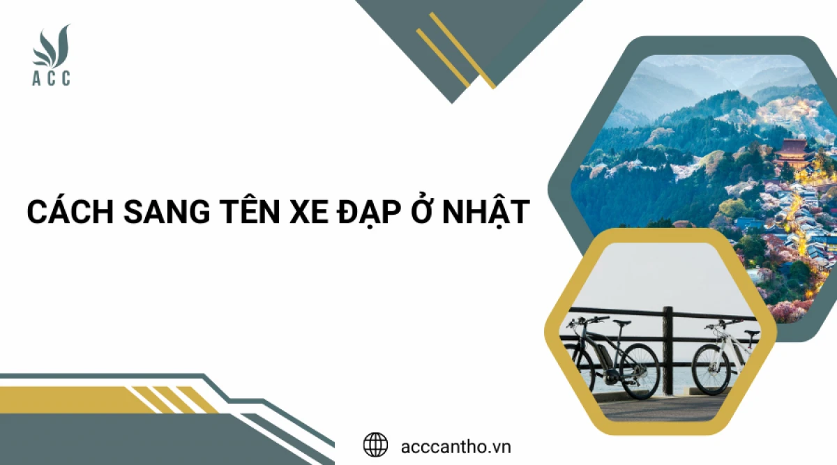 Kiểm tra kỹ lưỡng xe đạp cũ Cần Thơ trước khi mua