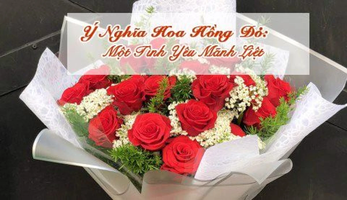 Ý nghĩa hoa hồng đỏ trong tình yêu: Đóa hồng đỏ thắm tượng trưng cho tình yêu nồng cháy và lãng mạn.