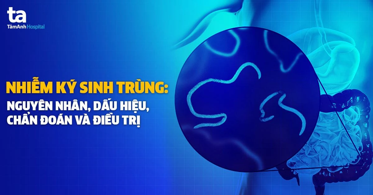 ảnh-các-biện-pháp-phòng-ngừa-côn-trung-xâm-nhập