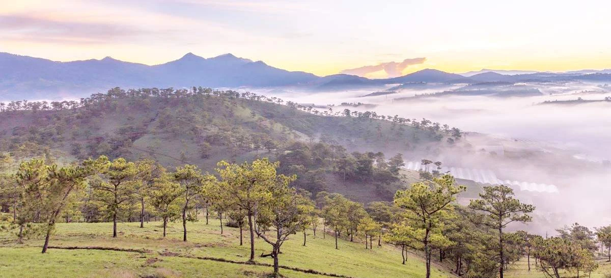 kinh-nghiem-sieu-tiet-kiem-da-lat