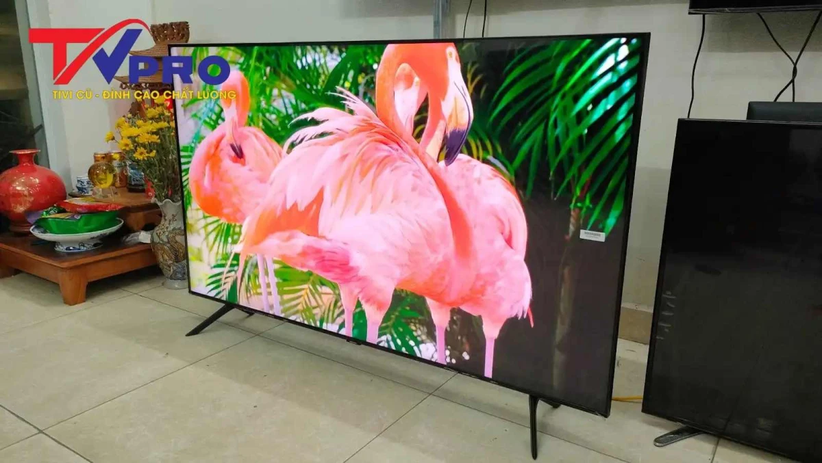 Cách lựa chọn tivi Samsung 50 inch phù hợp với nhu cầu