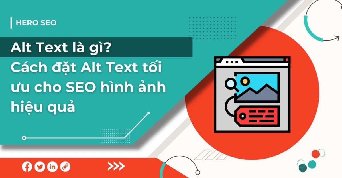 Tầm quan trọng của alt text trong SEO hình ảnh