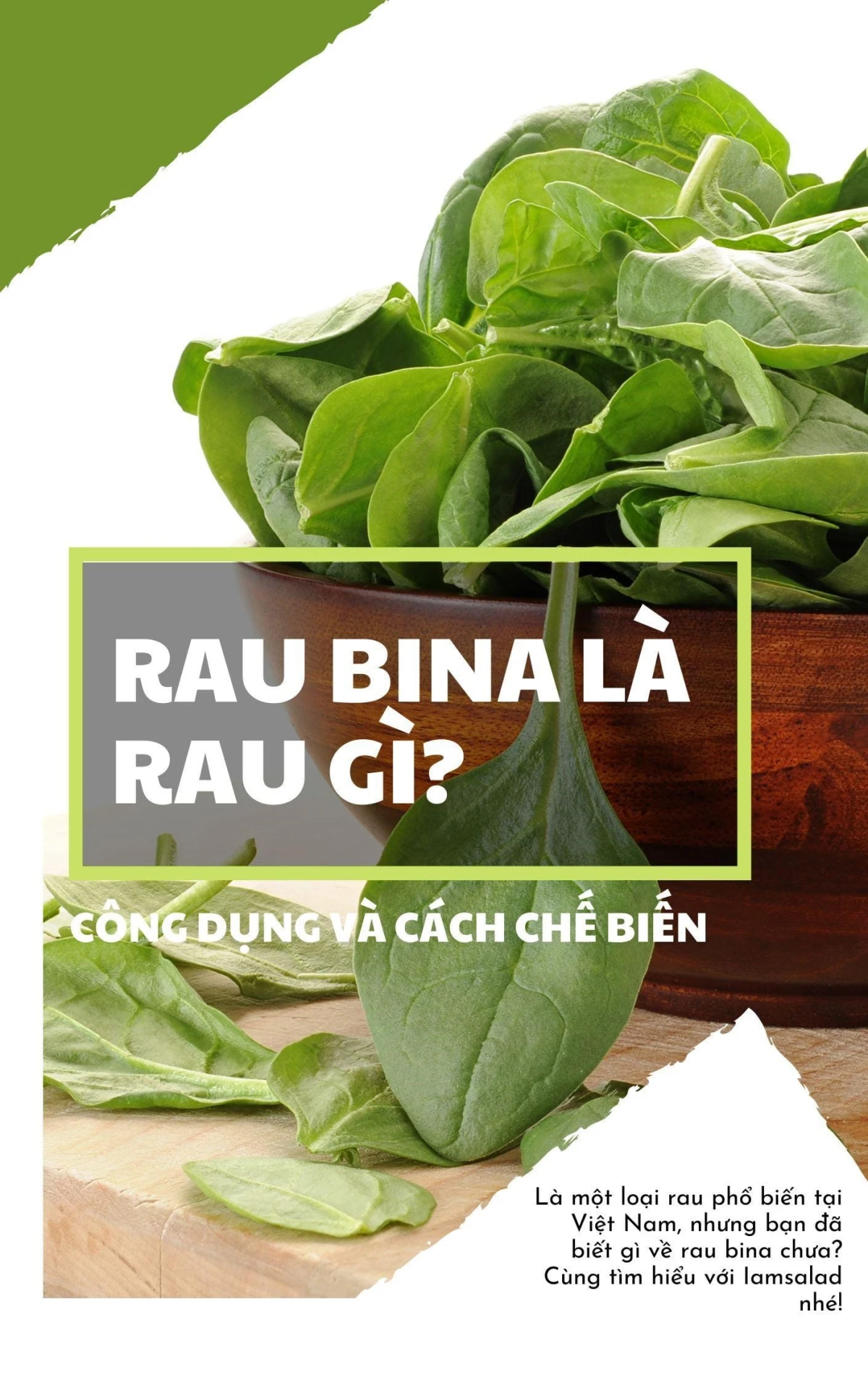 Các Món Ăn Chế Biến Từ Rau Bina: Salad, Sinh Tố, Canh, Xào - Đa Dạng và Bổ Dưỡng