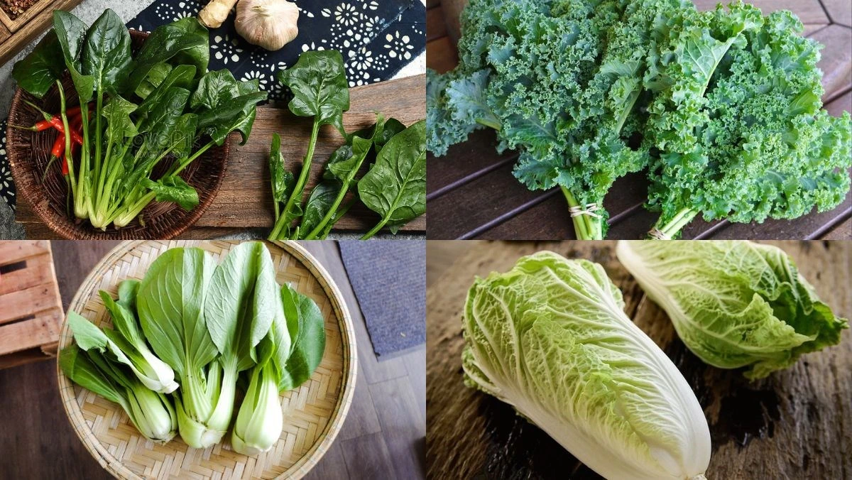 Rau Bina Là Rau Gì? Đặc Điểm Nhận Biết: Lá xanh đậm, hình dạng đa dạng, thân mềm, vị thanh mát