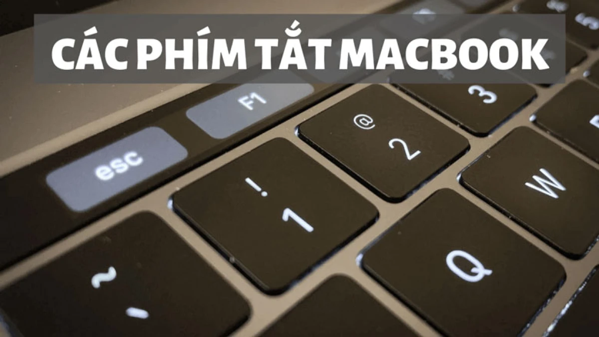 Phím tắt macOS để tắt máy nhanh chóng: Tiện lợi và dễ sử dụng