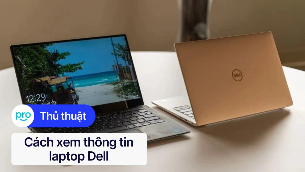 Quy Trình Bảo Hành Dell: Chi Tiết và Dễ Hiểu