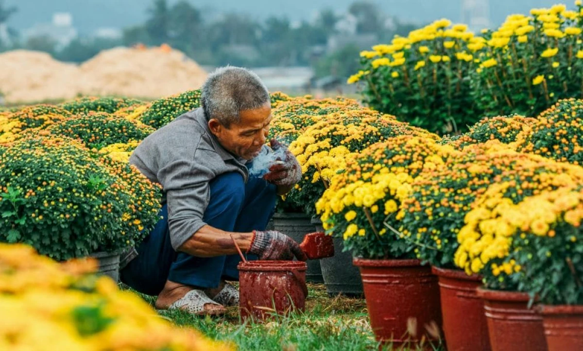 Trang phục du lịch Sa Đéc mùa hè 2025 phù hợp và thời trang