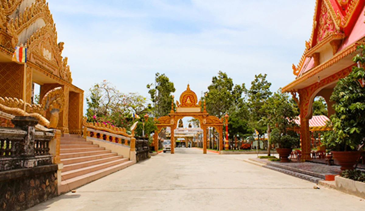 Cánh đồng điện gió Bạc Liêu rực rỡ dưới ánh nắng hè