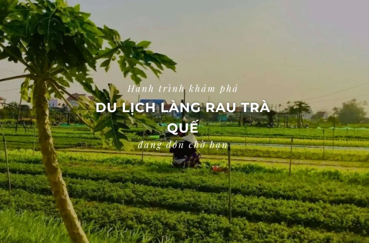 Du khách đạp xe qua làng quê Long An giữa khung cảnh hè xanh