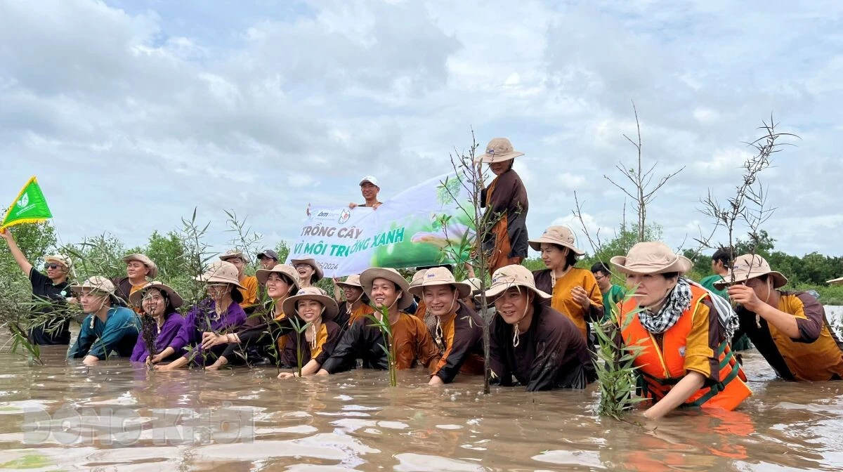 Du khách đi xe đạp giữa rừng dừa, góp phần bảo vệ môi trường Bến Tre