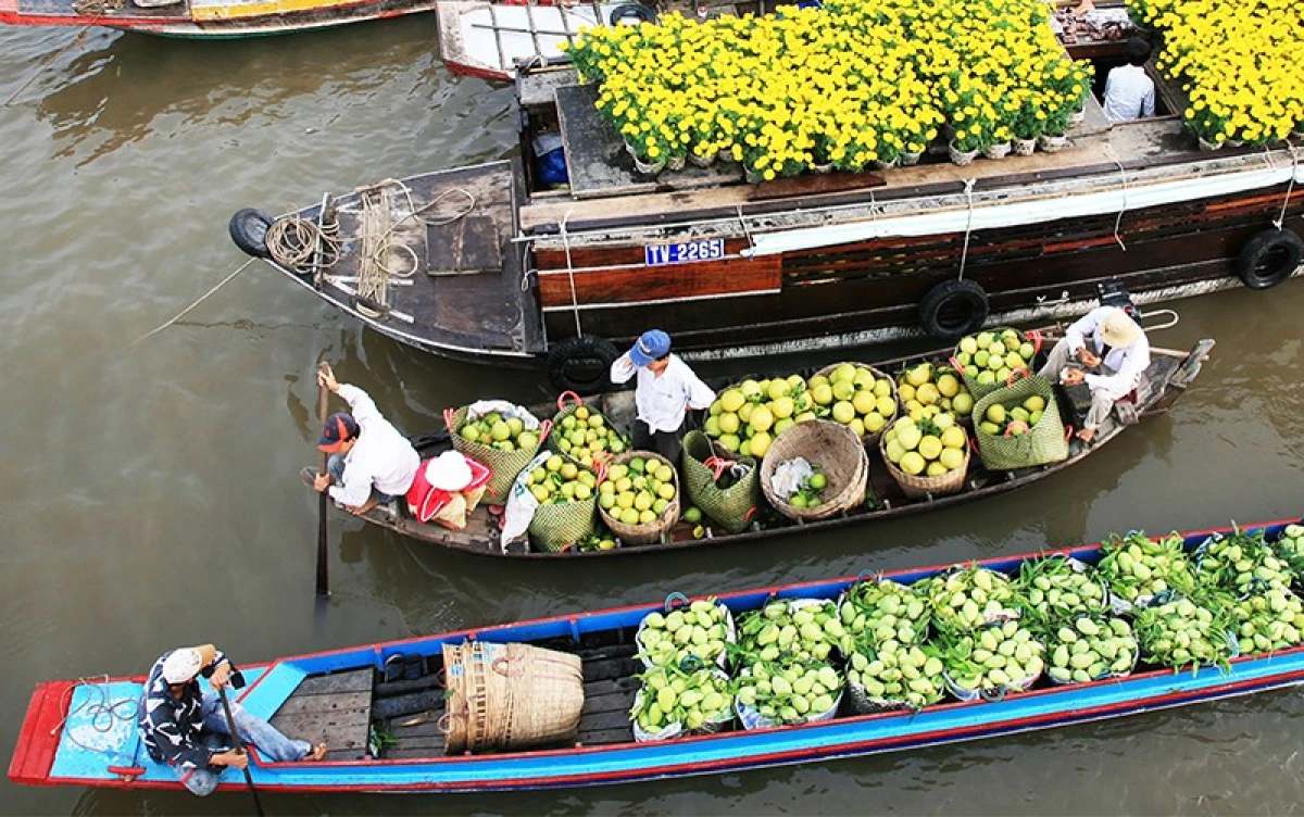 Vườn trái cây chín rộ ở Vĩnh Long mùa hè, thích hợp tham quan và thưởng thức tại chỗ