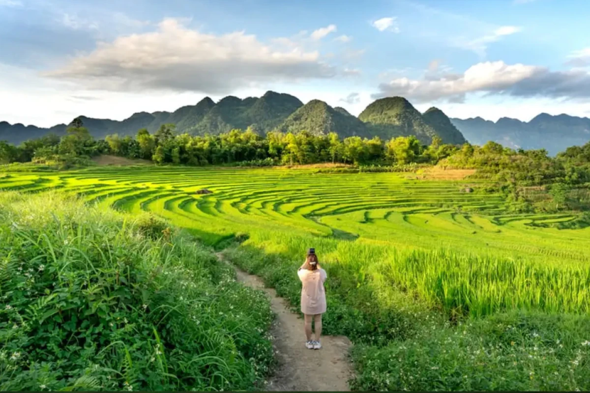 Du lịch Pù Luông Thanh Hóa mùa hè 2025 với ruộng bậc thang và homestay giữa núi rừng