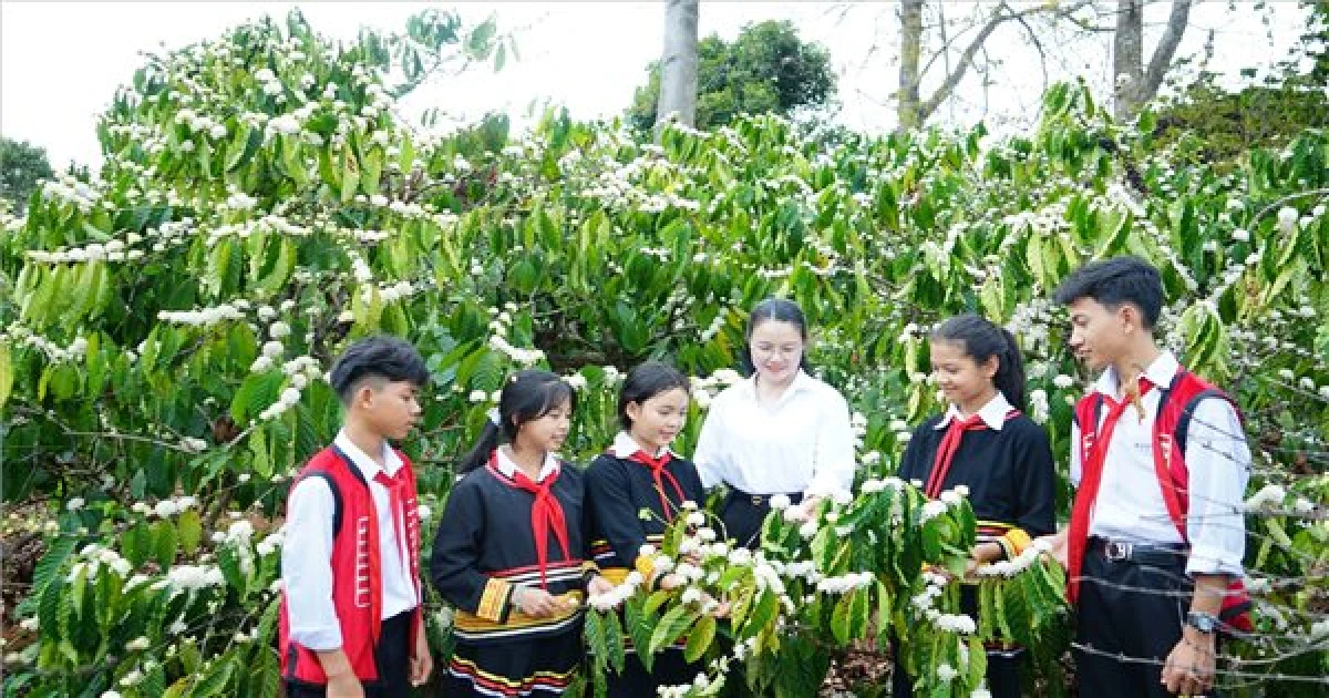 Du lịch Đắk Lắk mùa hè 2025: Trải nghiệm Tây Nguyên sôi động, mát lành image