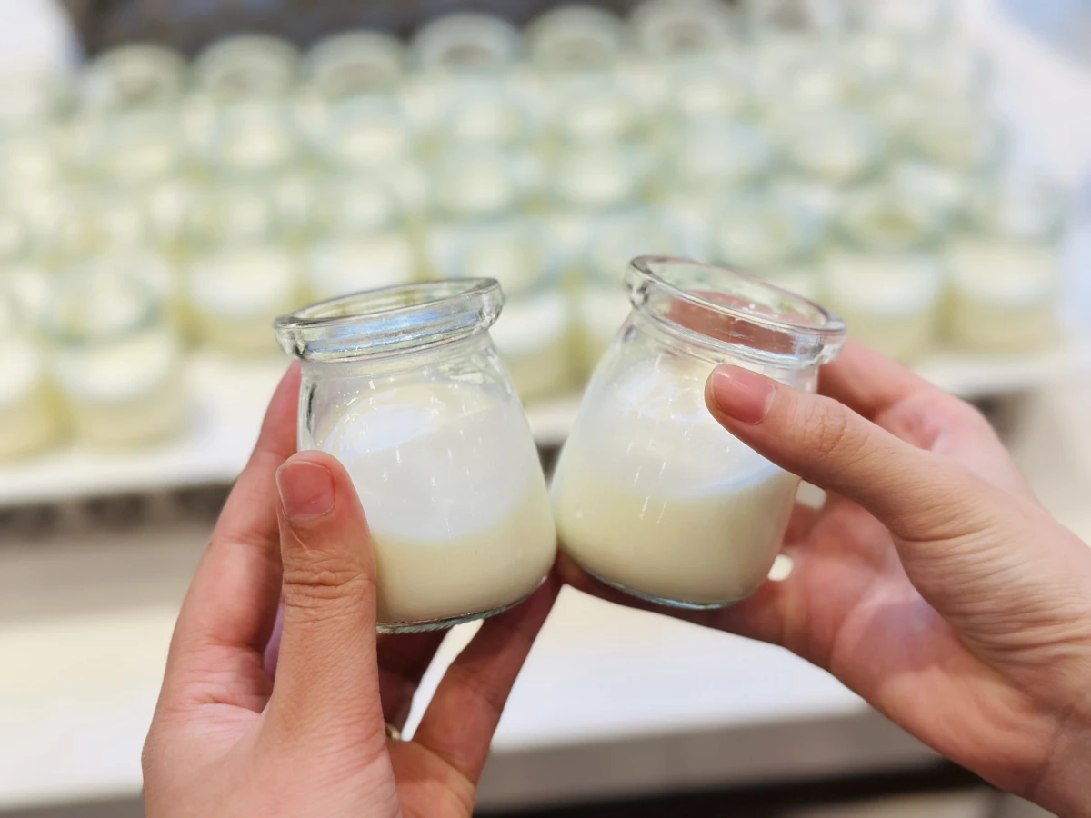 Đóng hỗn hợp sữa chua vào túi nhựa chuẩn