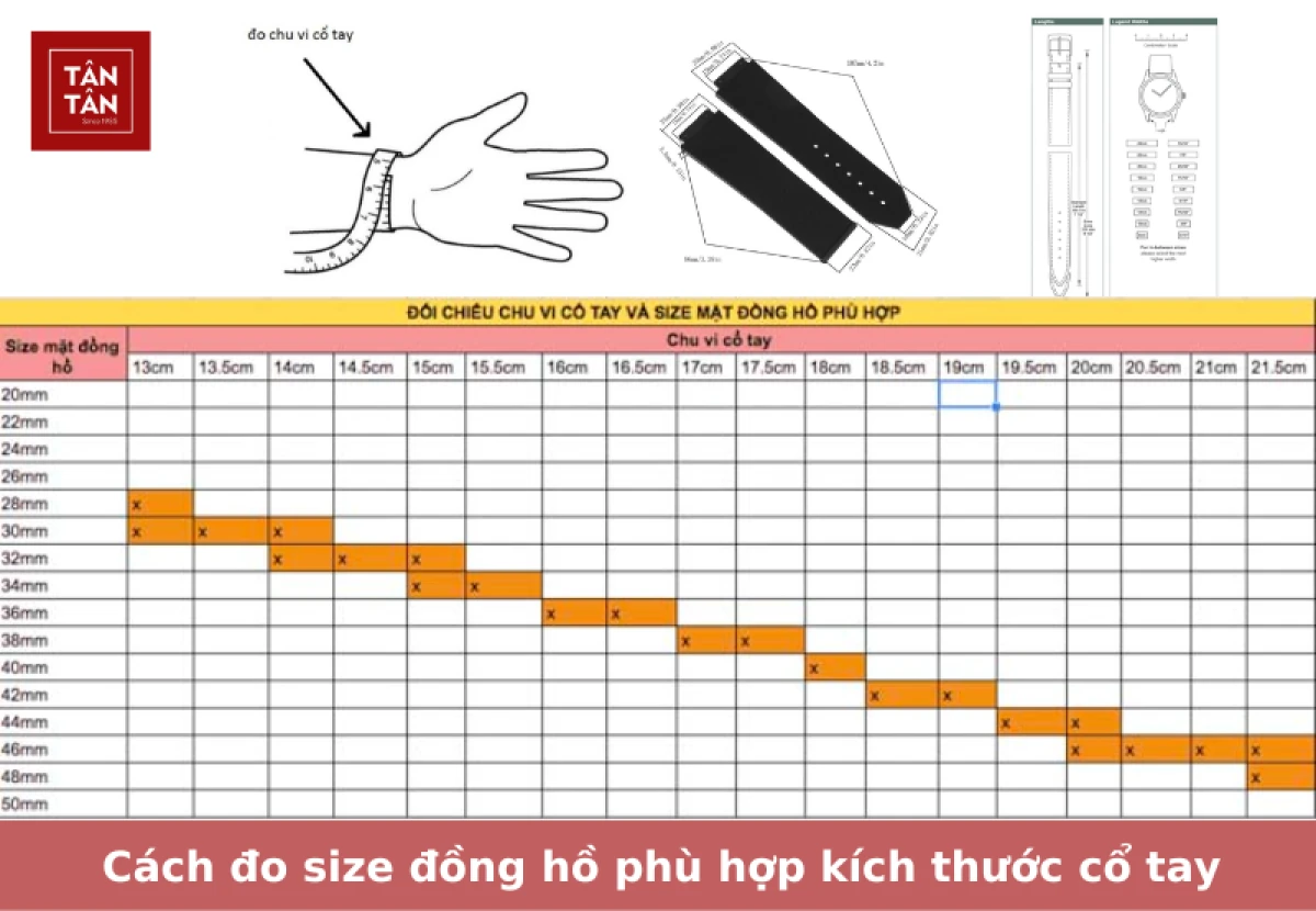 Hướng dẫn chọn tay đeo đồng hồ phù hợp