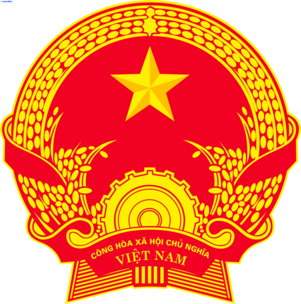 Hoạt động cộng đồng ngày 8 tháng 3