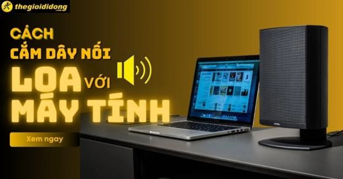 Hướng dẫn cách kết nối loa với máy tính