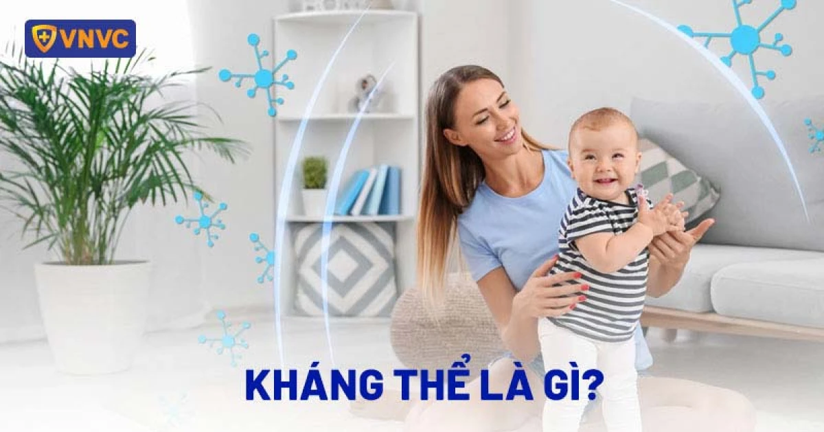 Các loại kháng thể quan trọng và chức năng trong hệ miễn dịch