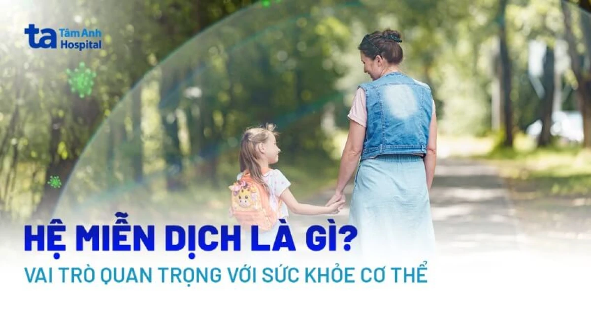 Kháng thể và cơ chế hoạt động trong hệ miễn dịch con người