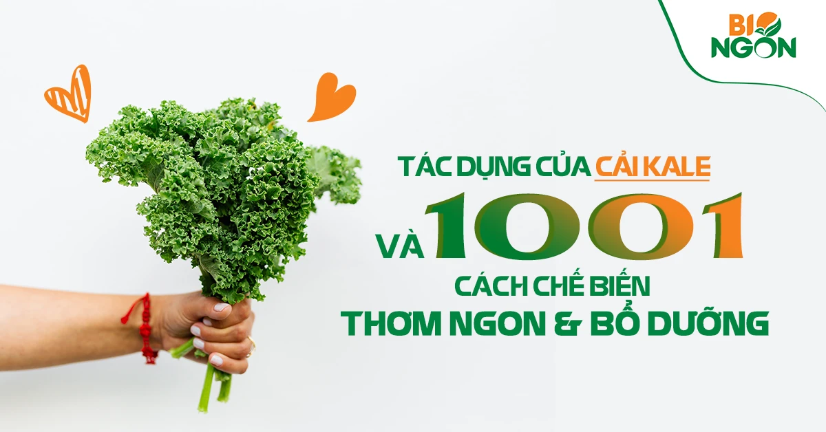 Rau củ quả thực phẩm sạch giàu dinh dưỡng tốt cho sức khỏe