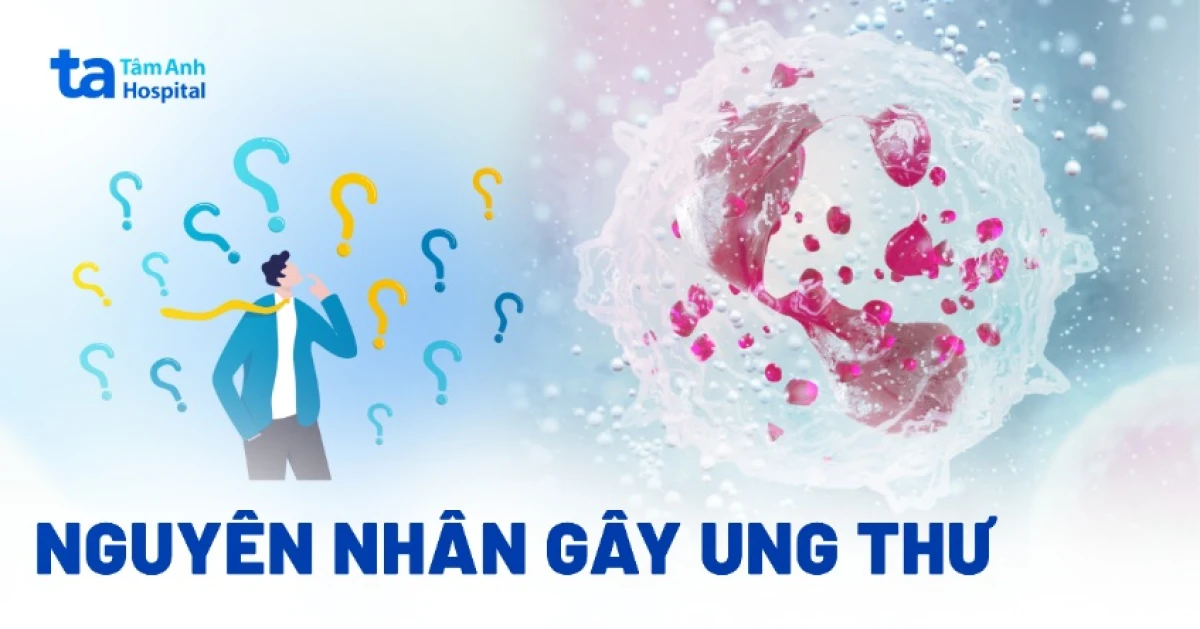 Nguyên nhân gây bệnh béo phì xuất phát từ ăn uống, lối sống và di truyền