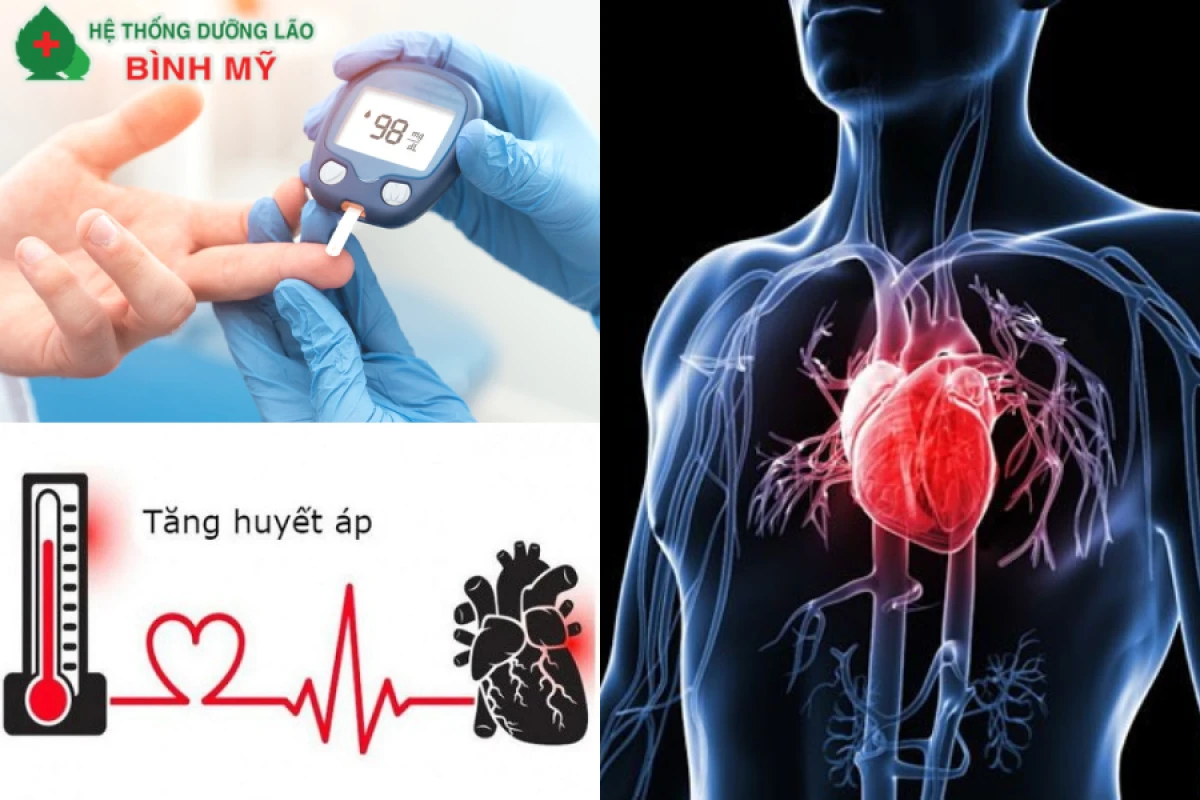 Người lớn tuổi tập luyện nhẹ nhàng tốt cho tim mạch