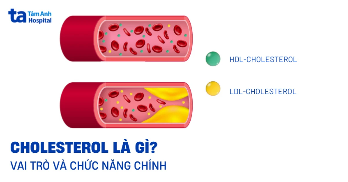Chất chống oxy hóa và bí quyết bảo vệ sức khỏe toàn diện image