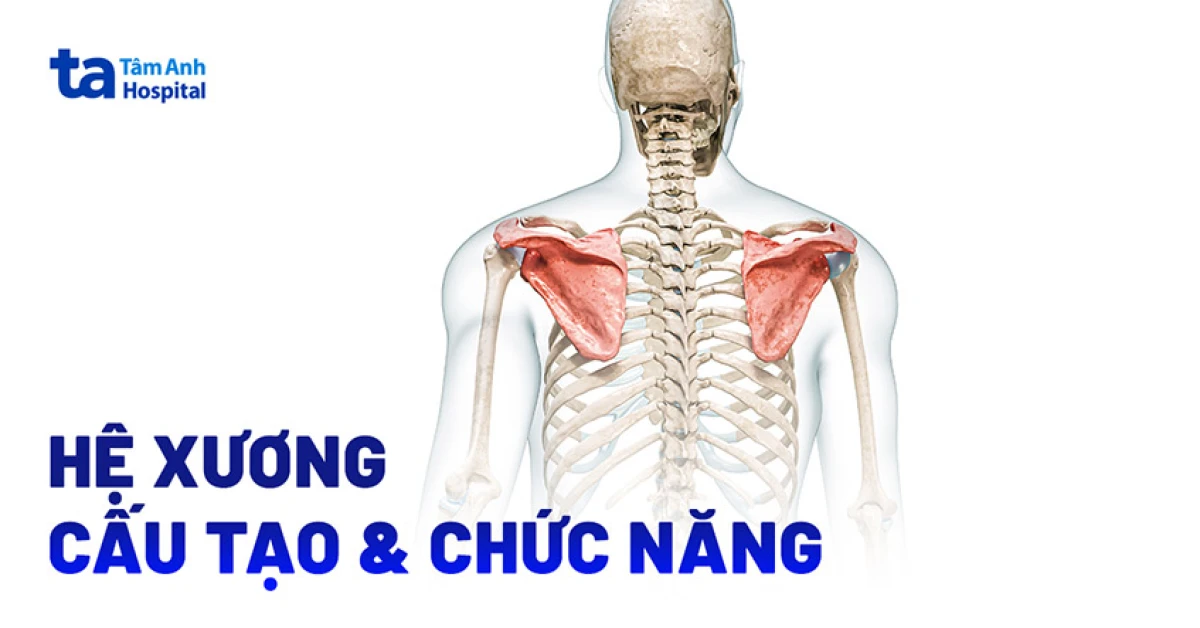 Hình ảnh minh họa sức khỏe xương khớp với vận động linh hoạt