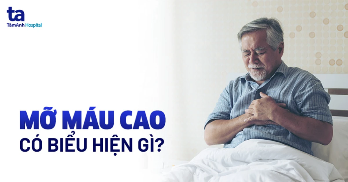 Kiểm soát cholesterol để bảo vệ tim mạch và sức khỏe lâu dài image