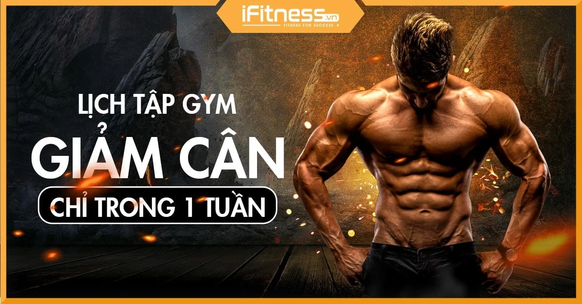 Lịch tập gym giảm mỡ hiệu quả cho người mới