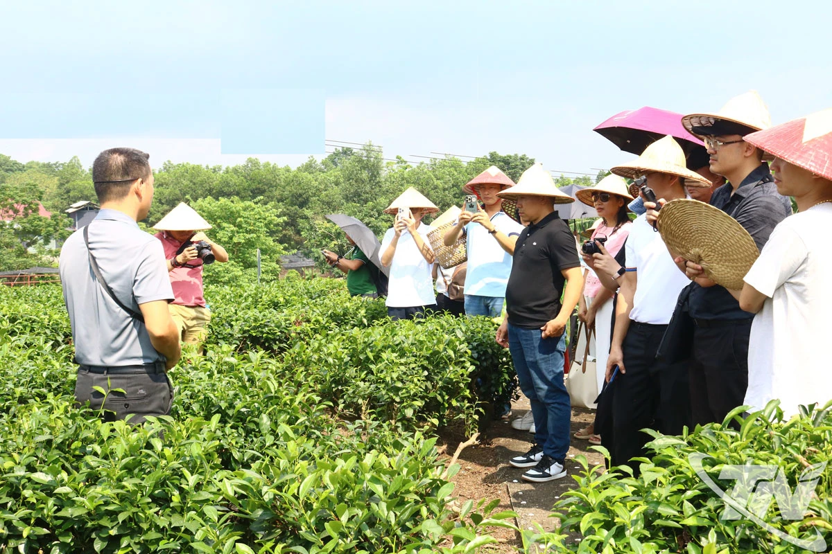 Thời trang bền vững trở thành hướng đi tất yếu của ngành