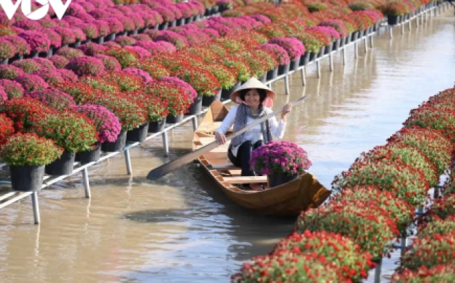 Du lịch Sa Đéc mùa hè 2025: Khám phá thiên đường miền Tây rực rỡ nắng