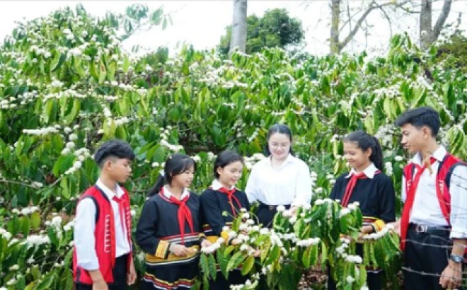 Du lịch Đắk Lắk mùa hè 2025: Trải nghiệm Tây Nguyên sôi động, mát lành