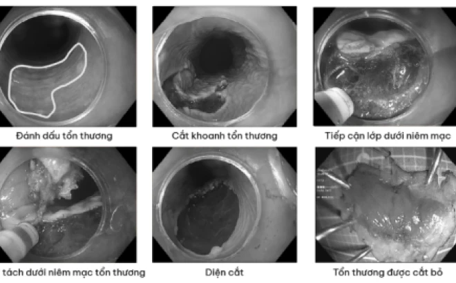 Bác sĩ và hành trình gìn giữ sức khỏe cộng đồng
