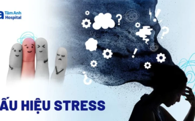 Stress và những cách khoa học để tìm lại sự cân bằng