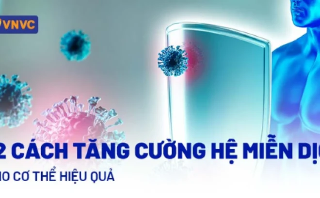 Tăng cường miễn dịch tự nhiên: Bí quyết bảo vệ sức khỏe lâu dài