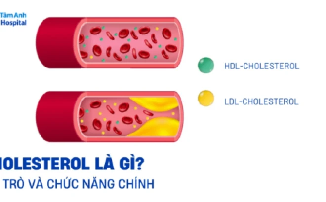 Chất chống oxy hóa và bí quyết bảo vệ sức khỏe toàn diện