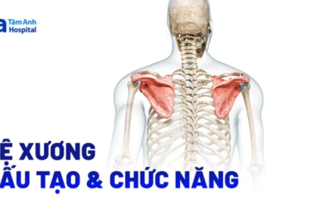 Sức khỏe xương khớp và bí quyết duy trì sự dẻo dai lâu dài