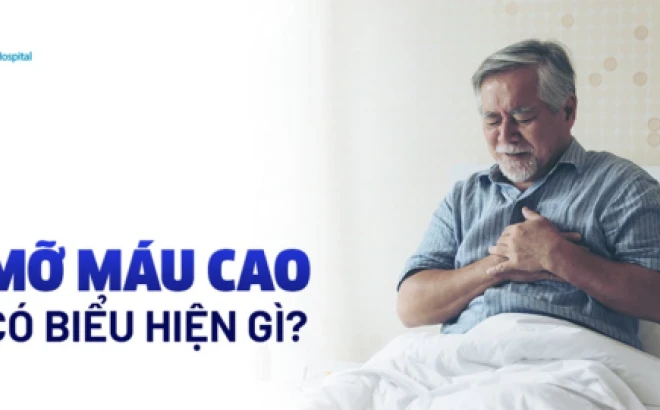 Kiểm soát cholesterol để bảo vệ tim mạch và sức khỏe lâu dài