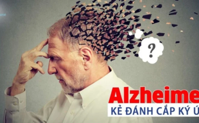 Phòng chống Alzheimer: Bí quyết bảo vệ trí nhớ từ hôm nay
