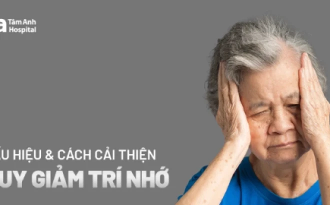 Tăng cường trí nhớ: Bí quyết khoa học để não bộ luôn minh mẫn